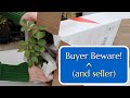 Mail order plants buyer beware