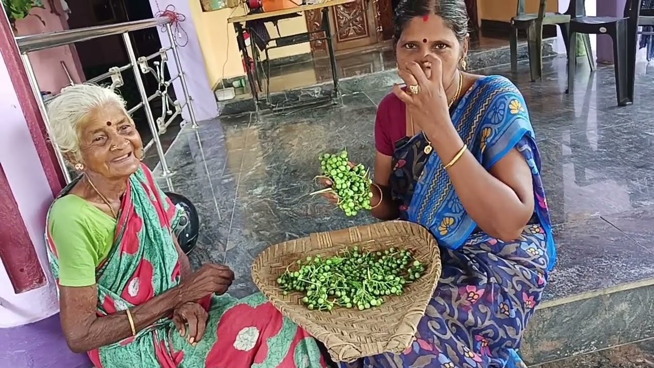 இப்படி பிரஷா கிடைச்சா சுண்டைக்காய் குழம்பு அருமையா இருக்கும்...