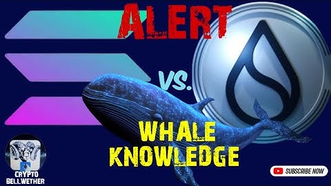 Whales Understand this about Solana vs SUI Network - Make bigger gains #solana #suinetwork #suicune