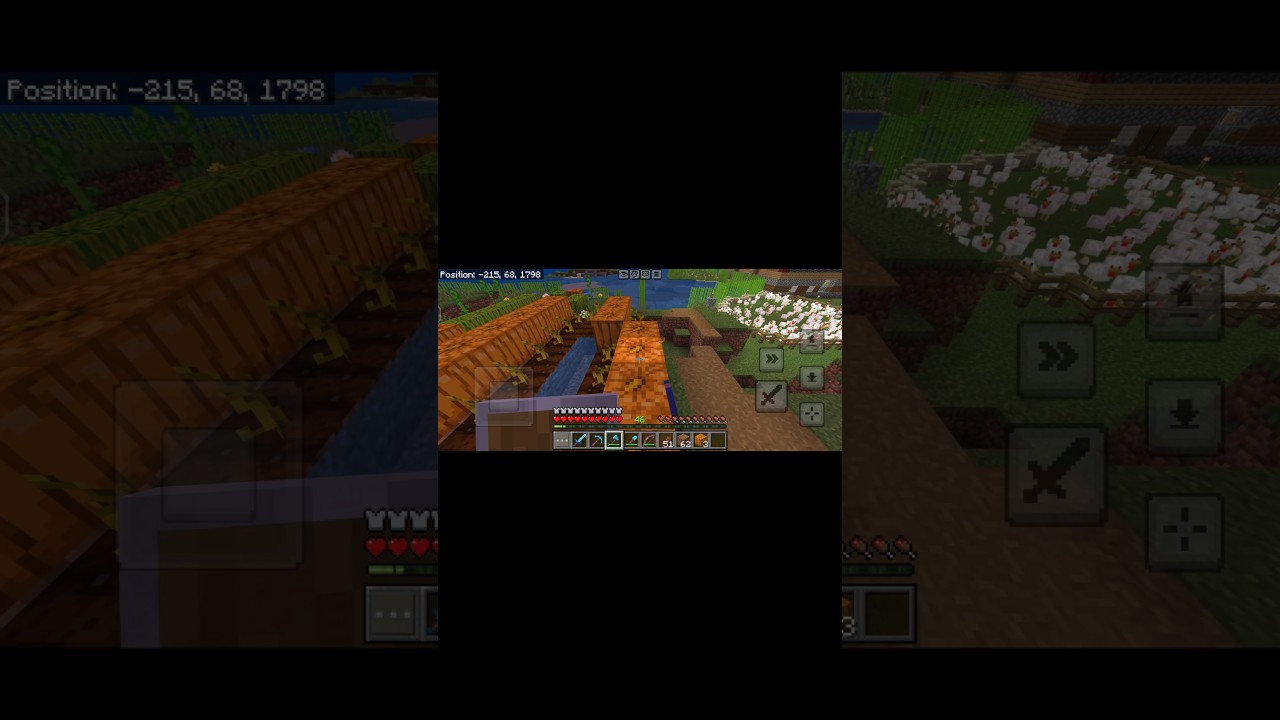 Farming Pumpkin in Minecraft | 