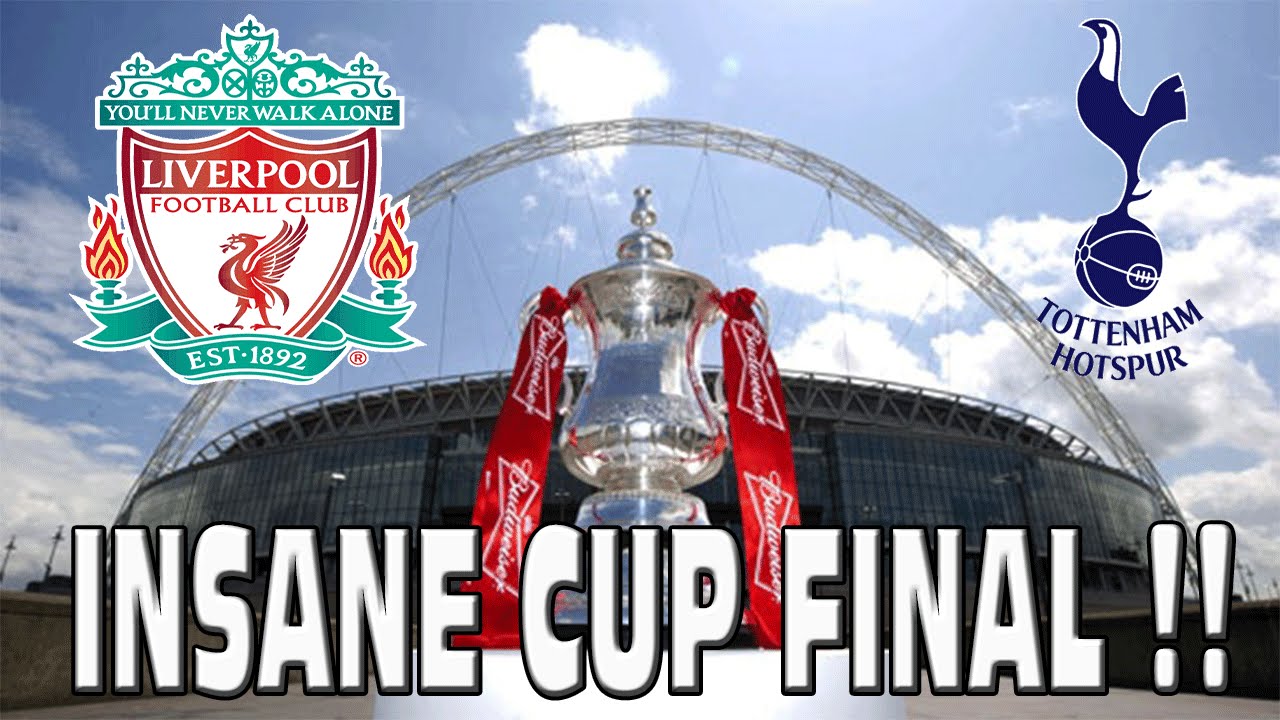 FIFA 15 LIVERPOOL CAREER MODE: CUP FINAL w/FACE-CAM - THIS IS INSANE!! 