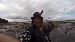 Hornby Island Canada Gem Quality Fossils