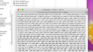 How to Download a File with Python