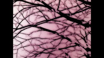 Callé Blödande (deprecated) - spanskt inflytande/vid kissa