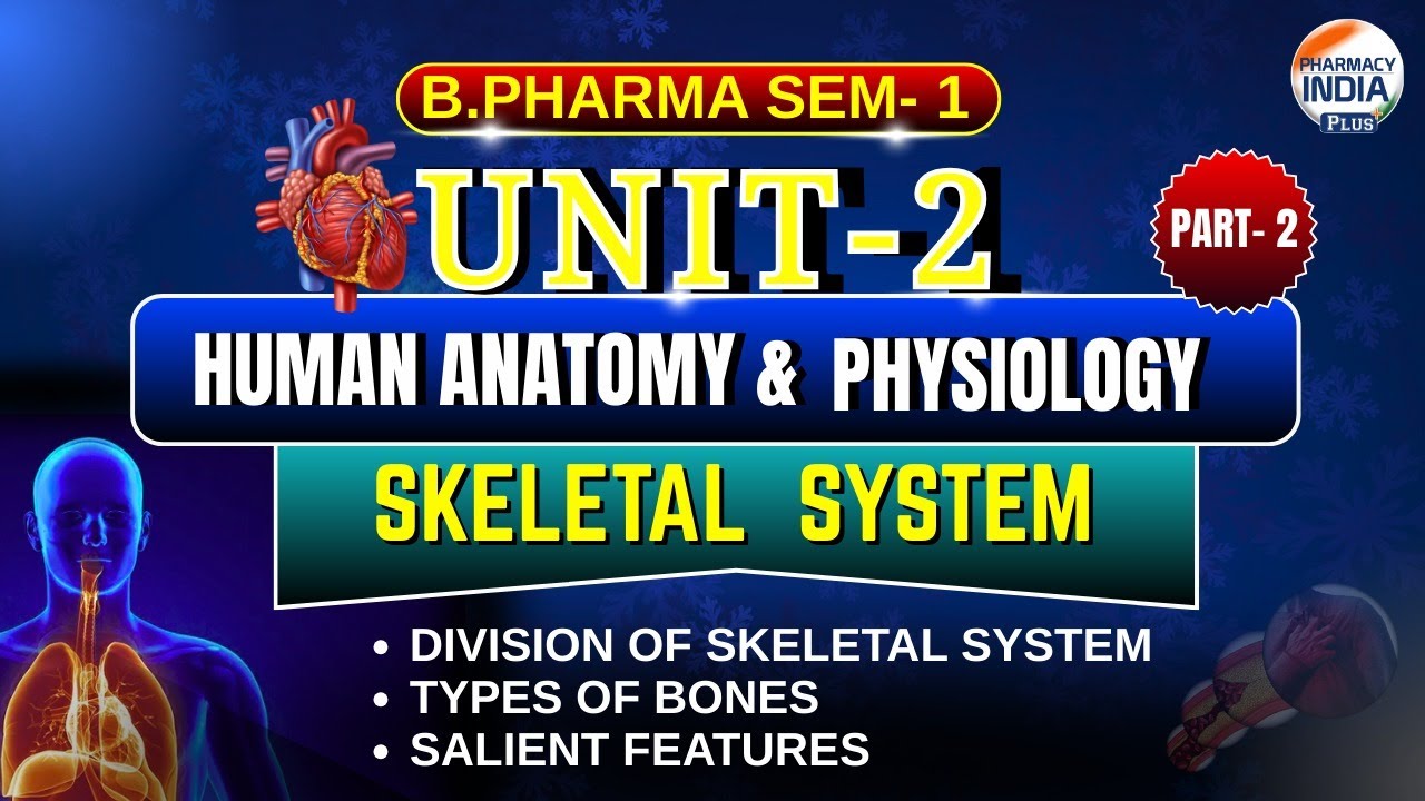 Skeletal System | HAP | Part - 2 | Unit - 2 | Semester - 1 | B.Pharm # ...