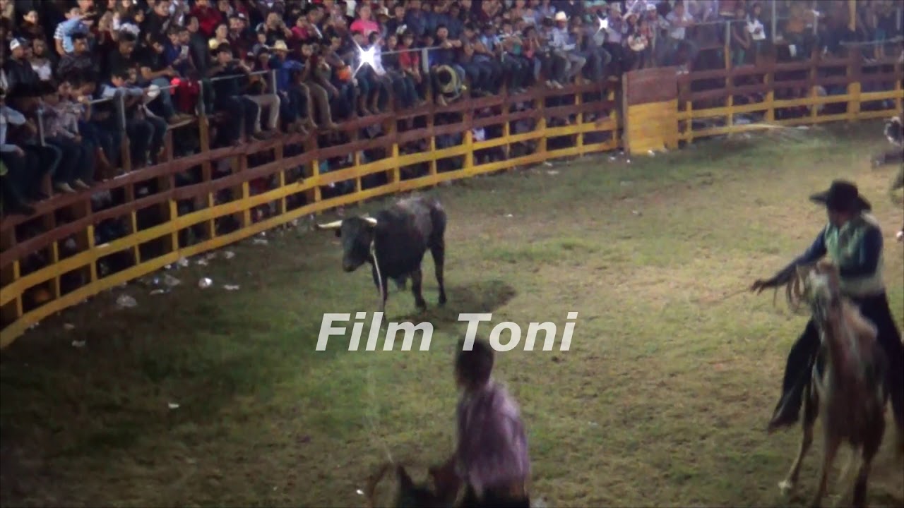 Lo Mejor De La Gran Final Buscando Al Vaquero Del Año 2019