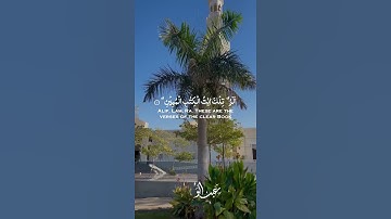 "إنا أنزلناه قرأنا عربياً" سورة يوسف SURAH YUSUF #عبدالولي_الاركاني #abdulwali_alarkani