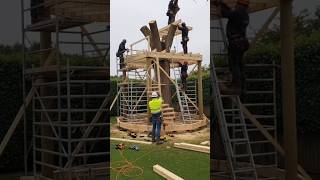 Building a Modern Glass Treehouse in a Backyard. #shorts #shortsfeed #shortvideo