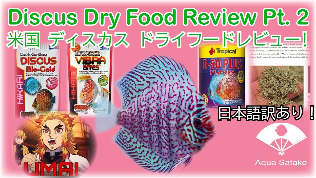 Discus Food Review Part 2 ディスカスのエサ レビュー パート2 YouTube