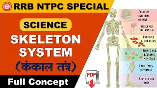 Skeletal System || Human Skeletal System || Bones & Cartilage || Axial & Appendicular Skeleton_mp4