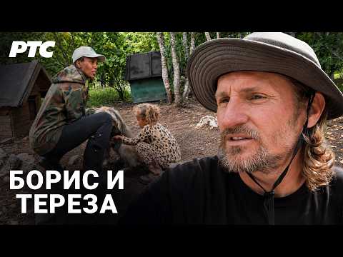 Napustili su sve i otišli na Taru | Sasvim prirodno (Jovan Memedović)