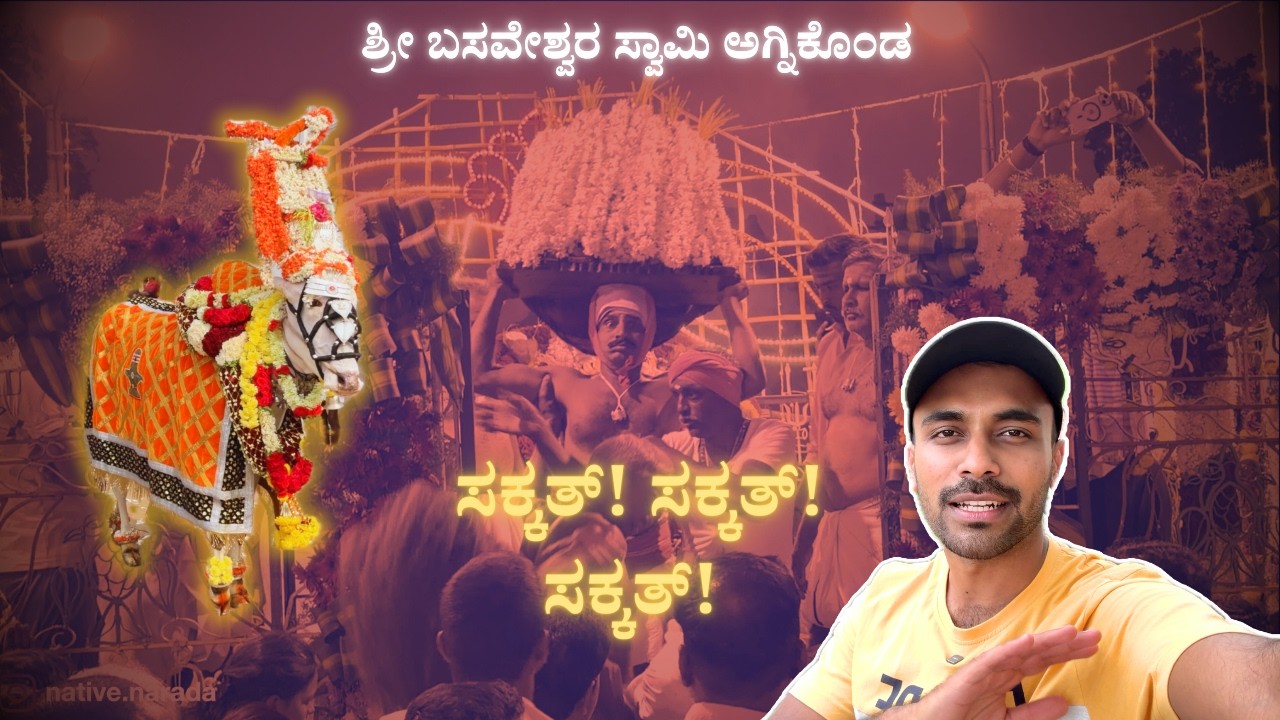 My Village Festival Vibes 😉