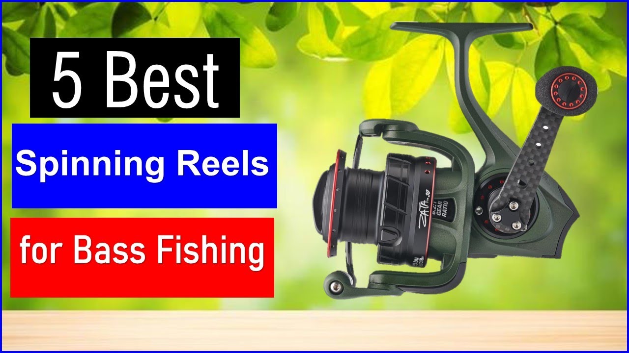Top 5 Best Spinning Reels for Bass Fishing in 2025