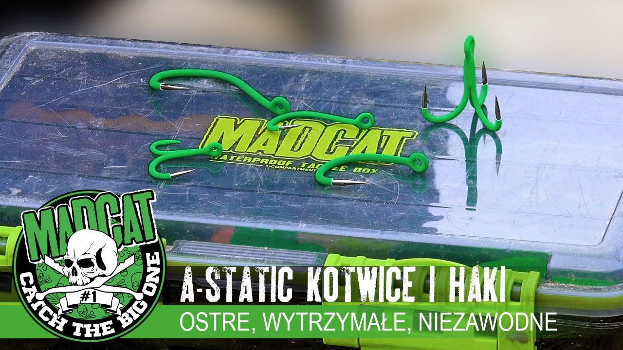 ⚡🛡⚓ haki i kotwice #ASTATIC //  #MADACT