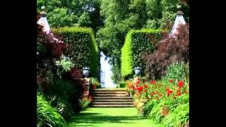 Beautiful Home Gardens