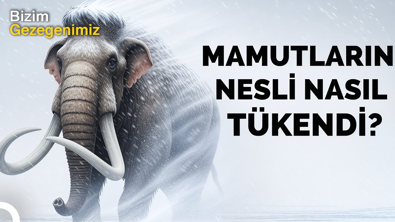 Tarih Öncesi Çağ: Mamutların Sonunu Getiren Gizemli Olay! | Türkçe Dublaj Belgesel