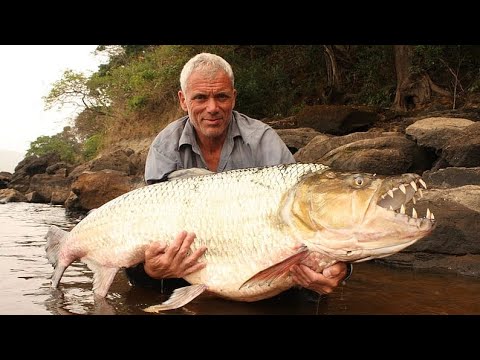 River Monsters in Hindi Full Episode || River Monsters in Hindi || River Monsters New Episodes ||