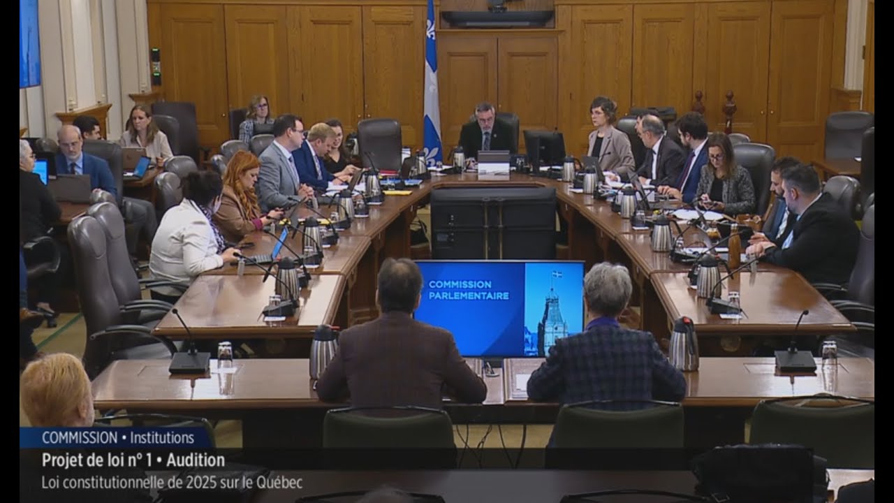 Projet de constitution (PL1) - Audition de Vivre dans la Dignité à l'Assemblée nationale du Québec