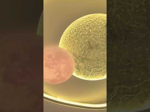 Світлодіодний світильник Linisoln 115W до 20 м² колір Білий 7941-500, видео 1