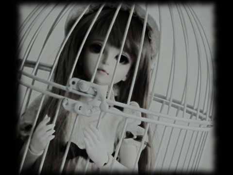 Trees Dance — Trees Dance - Fountain of Memories