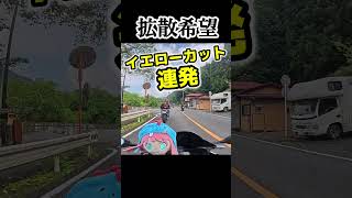 イエローカット連発！ほんと危ないからヤメてくれ！ #cbr #バイク #ツーリング #カスタム #バイク女子