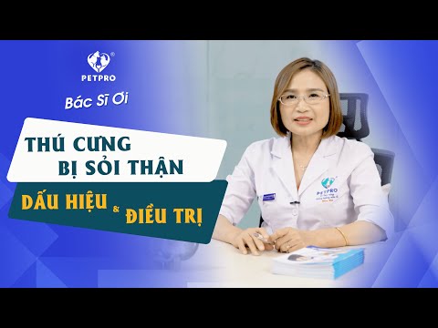 Video: Bệnh này ảnh hưởng đến 80% chó con. Là con của bạn âm thầm đau khổ?