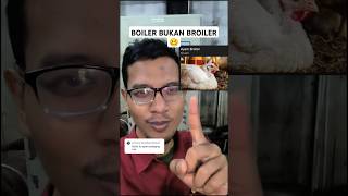 BOILER YA BUKAN BROILER #shorts #boiler #broiler #broilerchicken