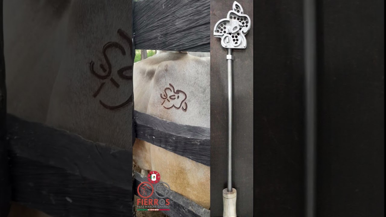 Marca de hierro de marca stock de ilustración. Ilustración de herramienta -  260796514, image size:1280x720