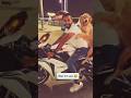 Animals english dubbing pets reaction videos what for And #funny #dog #pets #memes #comedyshorts