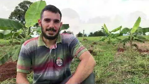 Qual é o adubo ideal para banana?