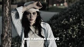 Deniz Bolat - Bir Yaprak Düştü