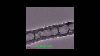 Li Plating/stripping For 100 Cycles In A Single Carbon Tubule With Internal Obstacles Li Plating/stripping For 100 Cycles In A Single Carbon Tubule With Internal Obstacles