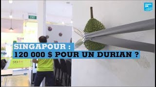 Singapour : 120 000 dollars pour un Durian scotché au mur ?