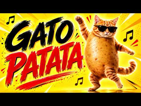 Gato Patata (Dance REMIX) 🔥 | Rumba Bass