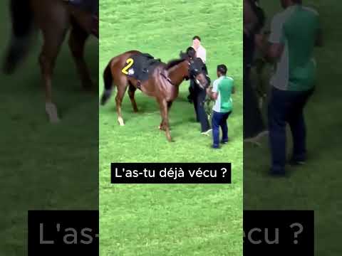 Have You Ever Experienced It