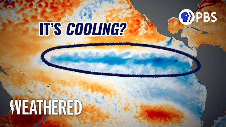 The Entire Pacific SHOULD Be Warming, But It's Not!
