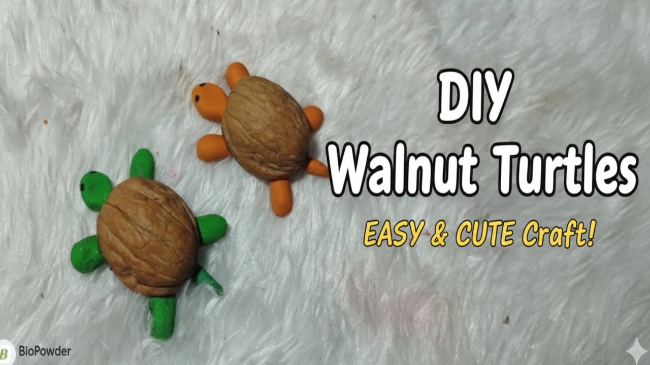 DYA Tortoise 🐢 waste meterial craft ‼️ walnut shell Homedecor ideas‼️easy tutorial step by step‼️