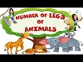 Number of legs of animals  science  kindergarten  kids  teacher beth class tv