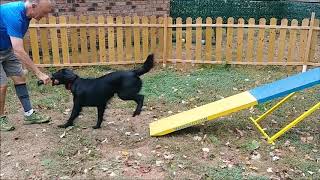 Forgot To Use Marker Word For A Frame A Frame And Bang Game