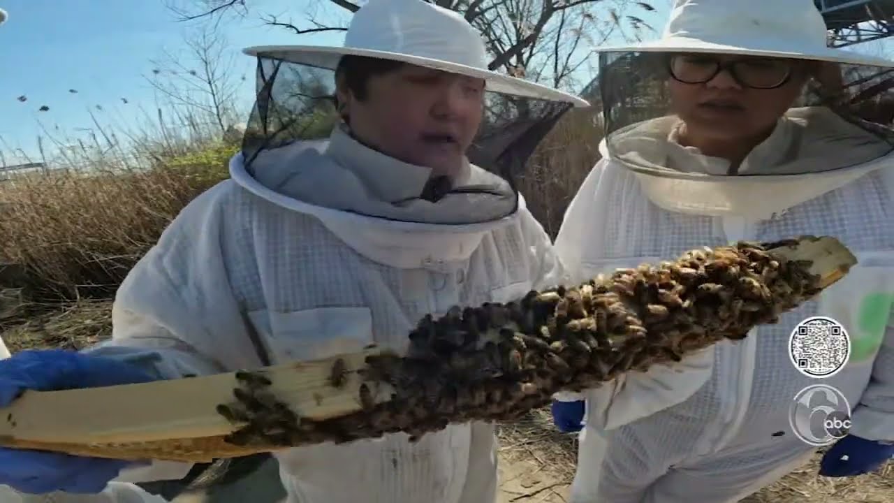 Half Mad Honey offers free mindful hive tours