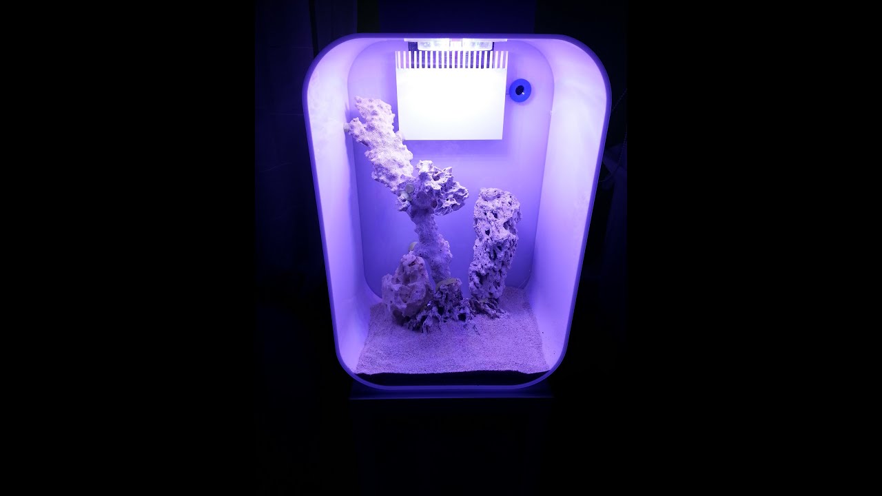 biOrb Life 60L REEF - YouTube