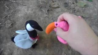 Strongdrew941 Random Craziness 29 Clip 11