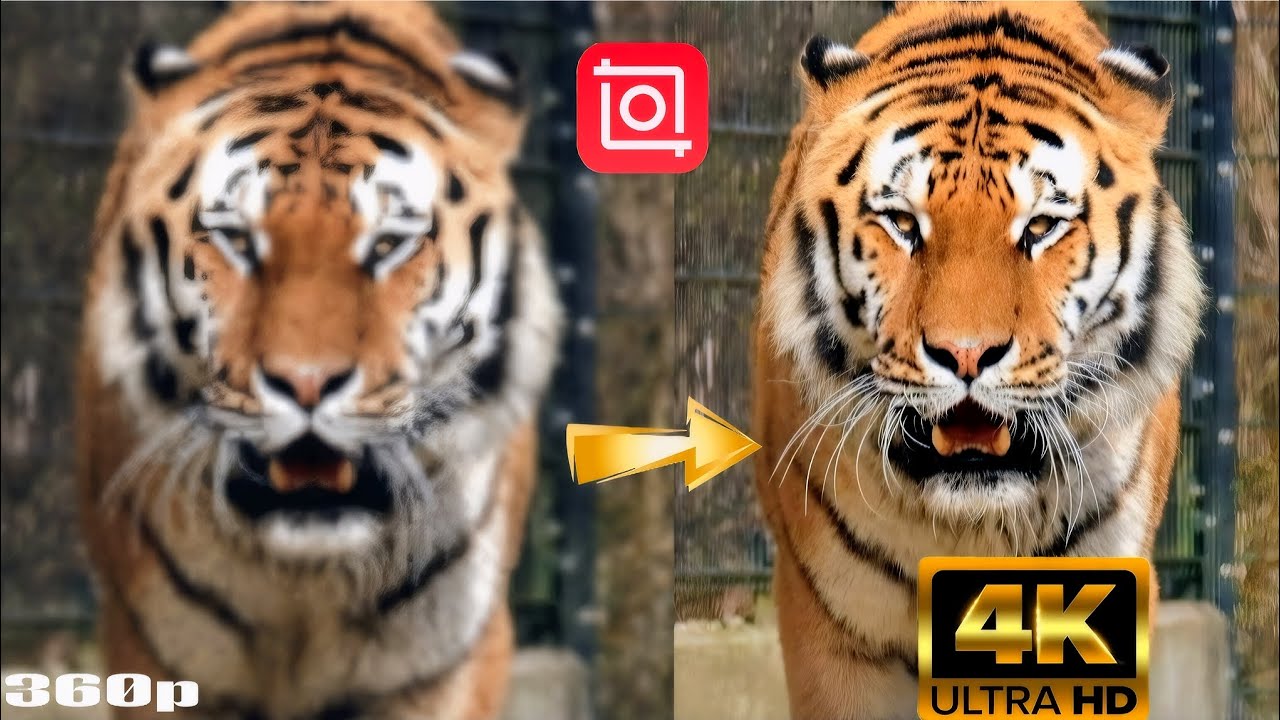 360p Resolution Image QUALITY RESOLUTION,& UPSCALE VIDEOS, 360p TO 4K RESOLUTION, VIA INSHOT ...
