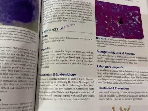 Mycology | Microbiology | Levinson