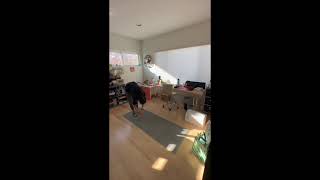 Desk-Side Neck and Upper Back Stretches   SD 480p
