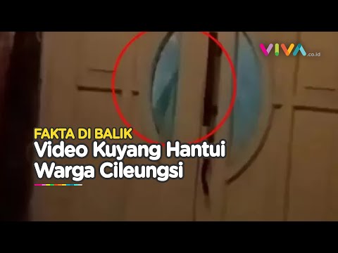 Fakta Terbaru 'Kuyang' Hantui Warga Cileungsi