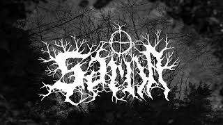 Sarna - Pájaros negros