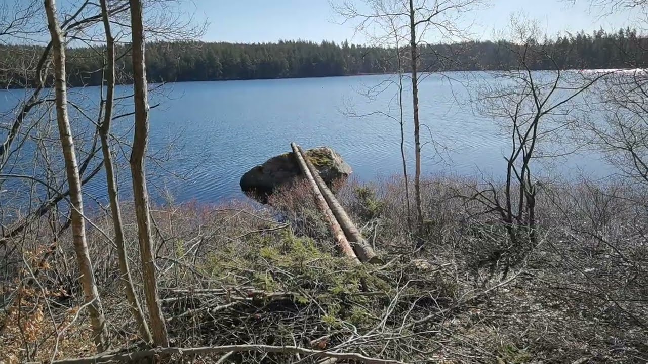 HALLSJÖN - 2023-04-28 - Vantakalles Naturreservat - Gröngölsmåla - RONNEBY - Blekinge