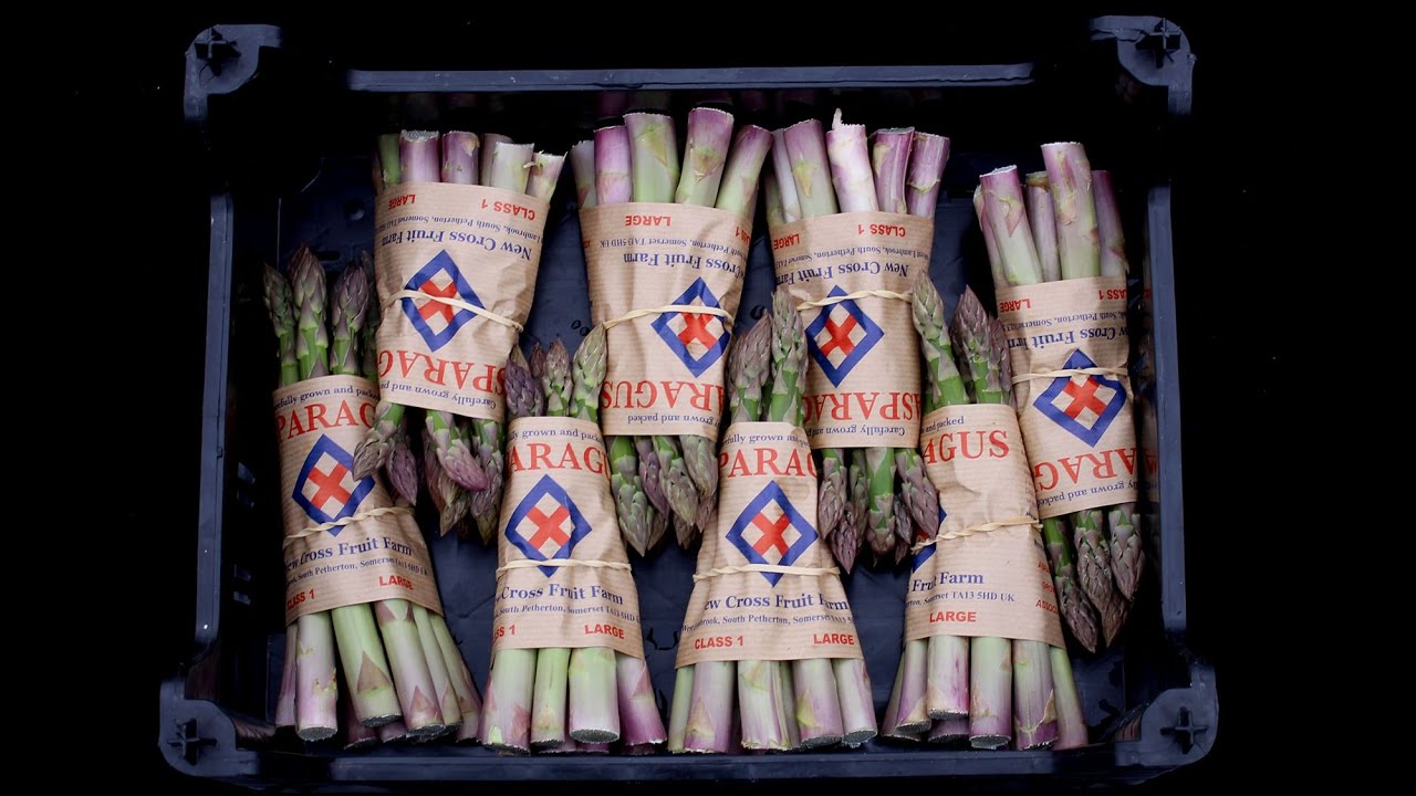 William Hebditch Grows Asparagus