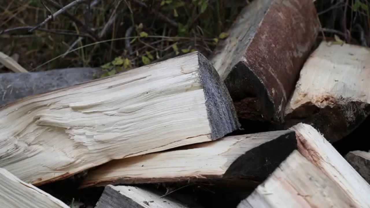 Utah General Season Deer Hunt 2015 San Juan Abajo Mountains YouTube utah-general-season-deer-hunt-2015-san-juan-abajo-mountains-youtube